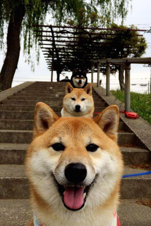 俱乐部跨国投资:引爆足球产业的新巨头,俱乐部 足球