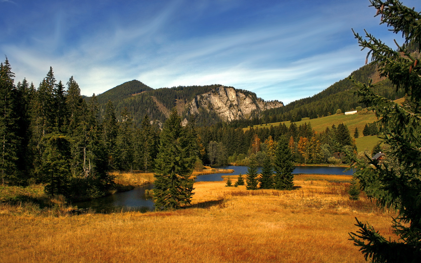 乐鱼体育app官网入口-英超防守体系调整后犯规率变化及其战术启示，英超新规则