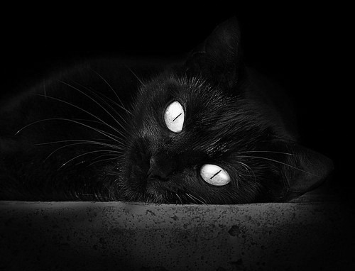 逆境突围:球队如何在压力下稳住阵脚?,逆境中突围