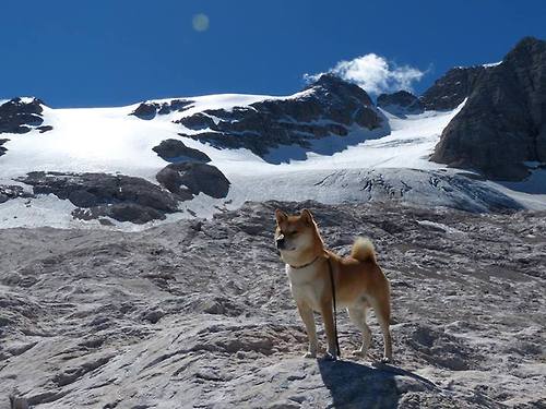 乐鱼体育app官网入口-FIBA “Hoops For Green” 在阿尔及利亚举办环保篮球公益项目
